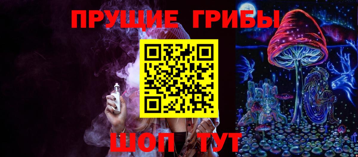 Псилоцибиновые грибы Psilocybe Ярославль